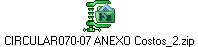 CIRCULAR070-07 ANEXO Costos_2.zip