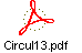 Circul13.pdf