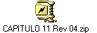 CAPITULO 11 Rev 04.zip